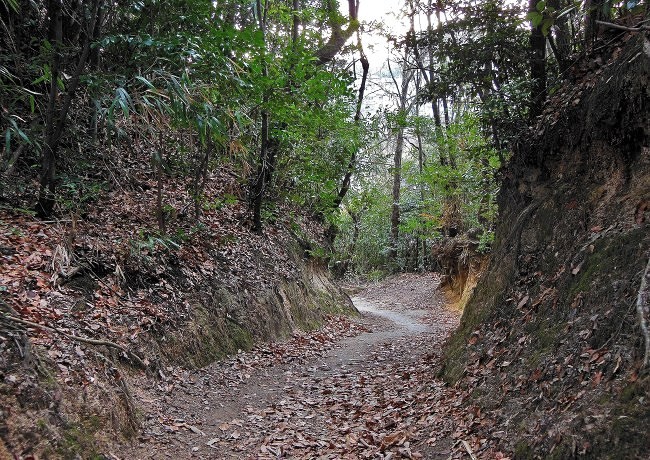 ドングリ峠