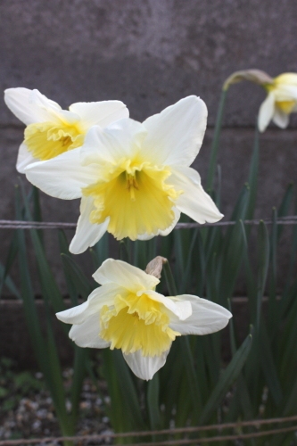 20160321005.jpg