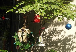 DSC_2408-20.jpg