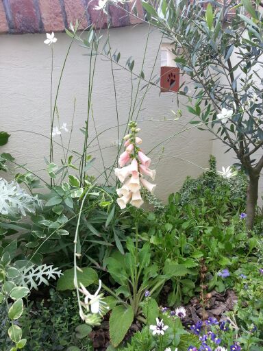 rblog-20140710004708-03.jpg