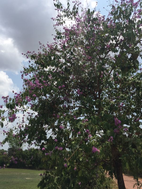 rblog-20190414195506-01.jpg
