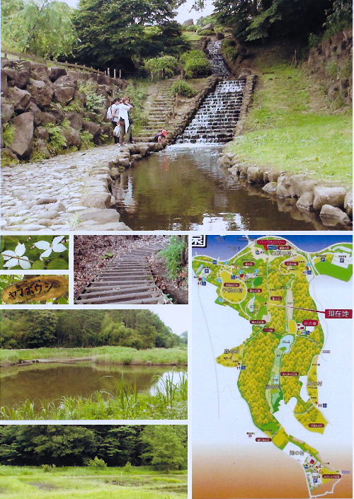 茅ヶ崎里山公園03