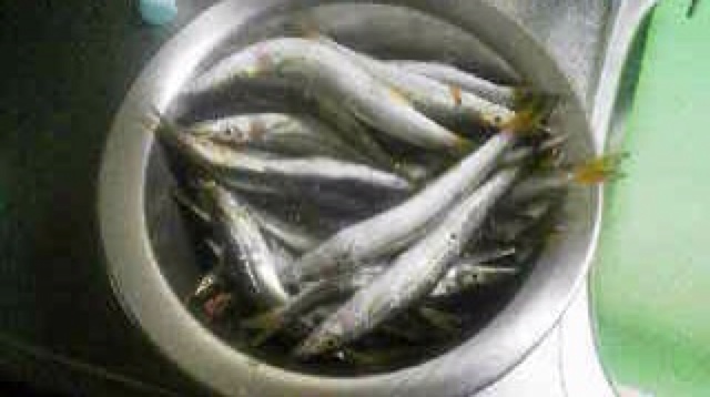 rblog-20130927232240-00.jpg