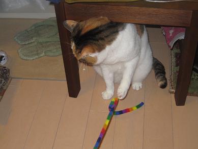 IMG_3919f.JPG