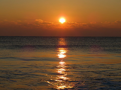 IMG_8151.jpg