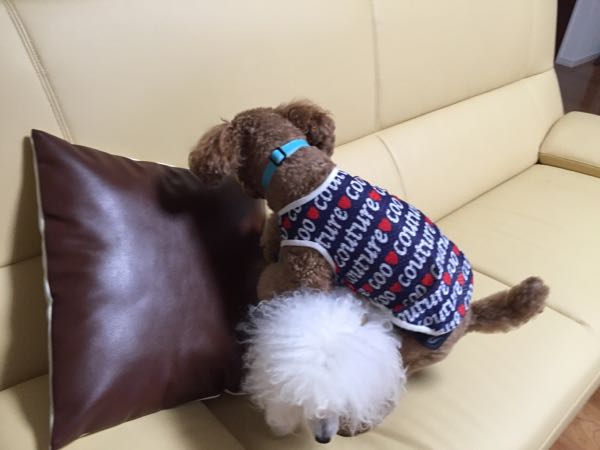 rblog-20150923205846-02.jpg