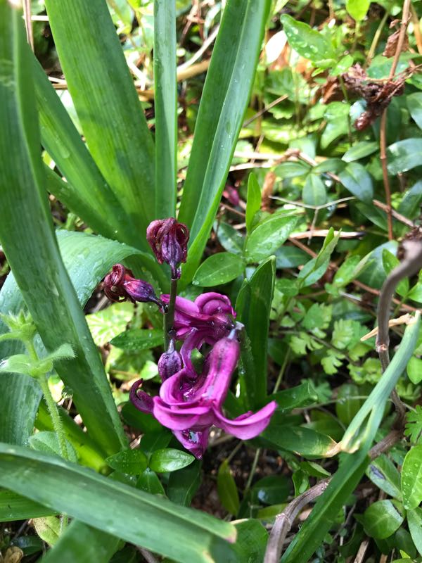 rblog-20190401164110-05.jpg