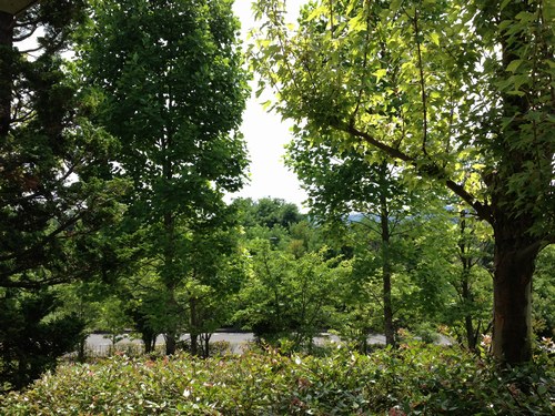 1病院500６.jpg