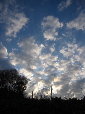 IMG_8143.JPG
