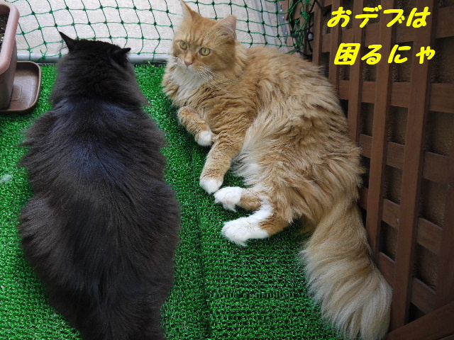 P1210157.JPG