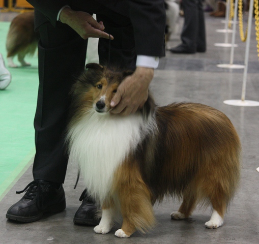 IMG_2676 - コピー.JPG