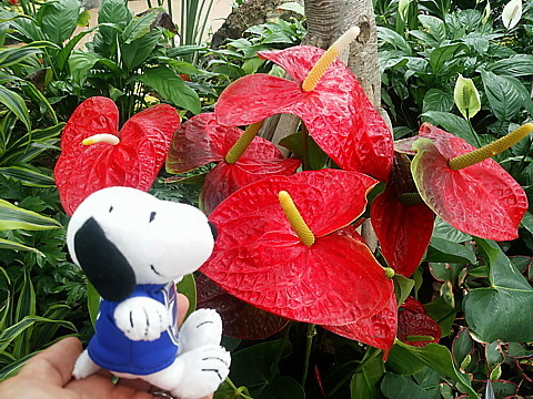 IMG_20160416_145236.jpg