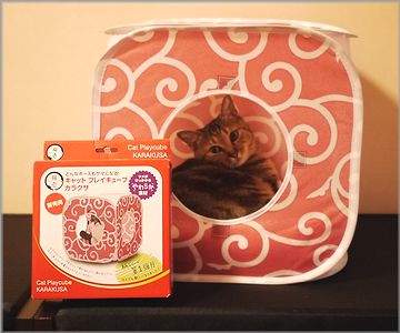 プレイキューブカラクサ