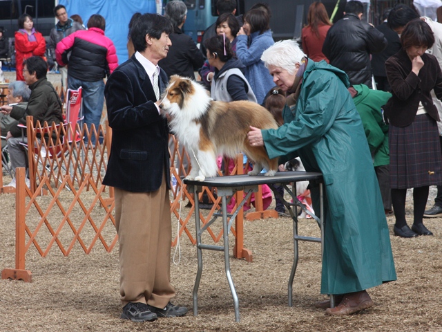 IMG_1166 - コピー.JPG