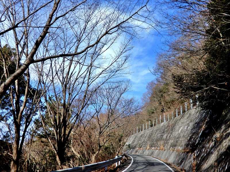 遊歩道3