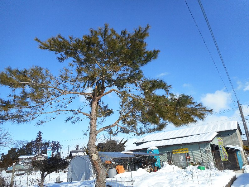 20140216_090615.JPG
