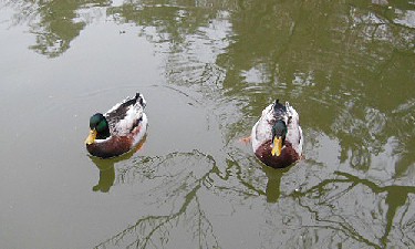 DSCN2058.jpg