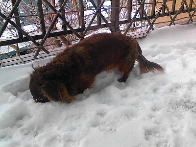 130211_092148.jpg