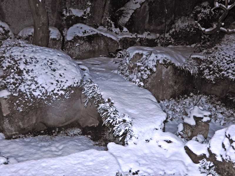 24日の雪9