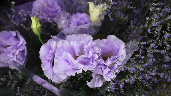 今日のお花 花屋な日々 楽天ブログ