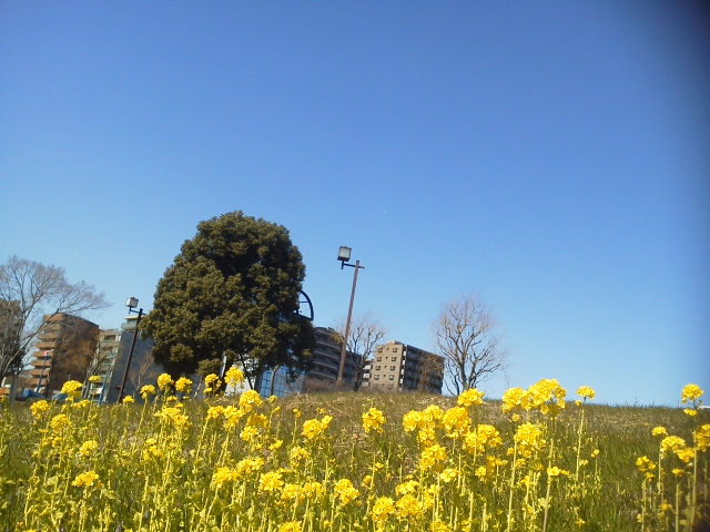 2014-03-11 12.06.35.jpg