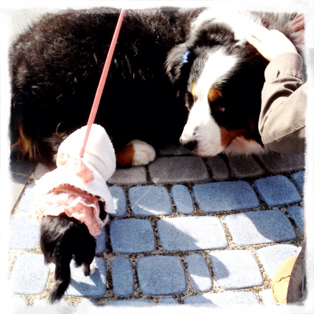 rblog-20131201091101-01.jpg