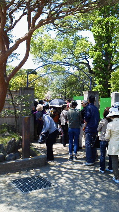 201304281139000.jpg