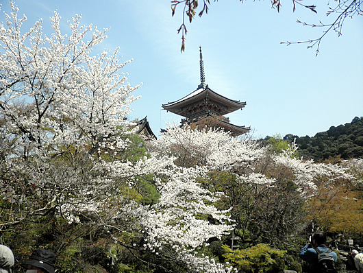 kiyomizu-10