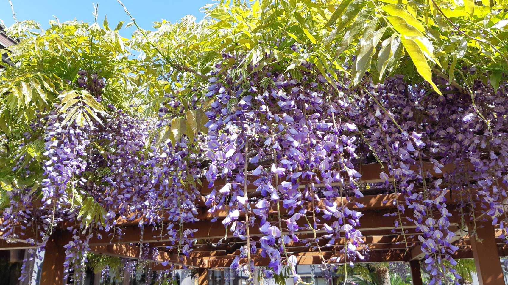 ぶりおのワゴンRでひとっ飛び