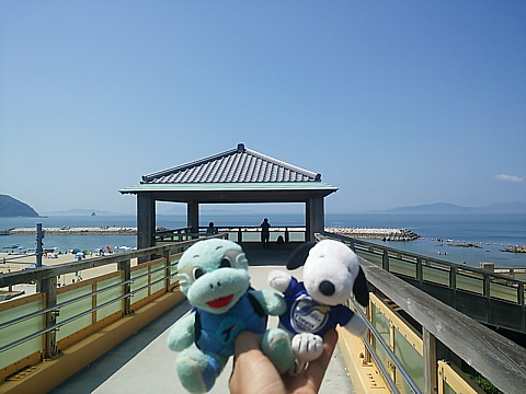 IMG_20160813_110124.jpg