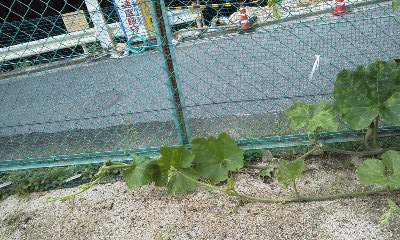 140825_1004~01.jpg