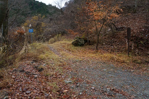DSC03943.JPG