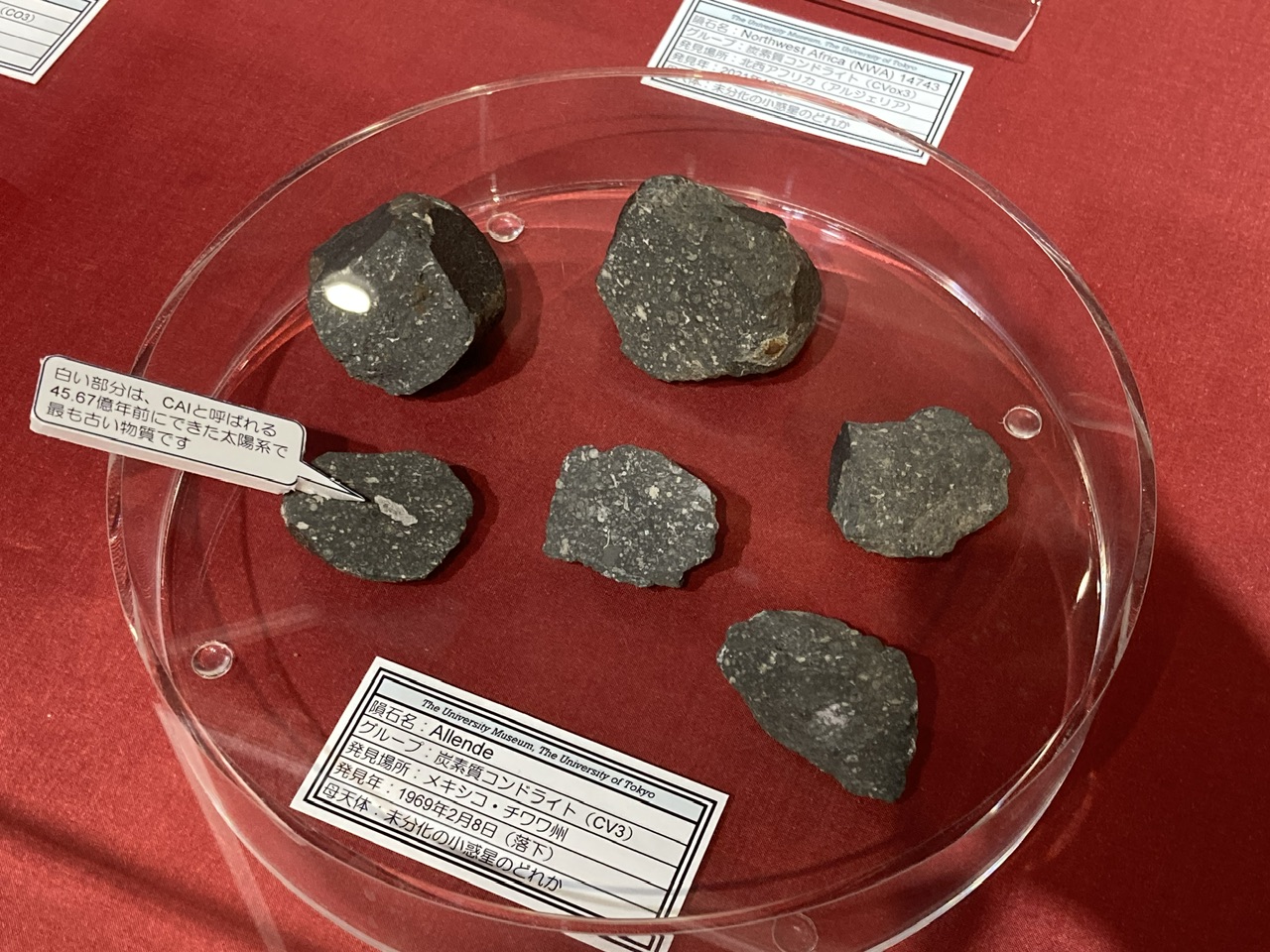 隕石ー星のカケラが語ること」文京区教育センター2階 | もりくまの
