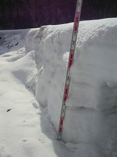2012031514520000.jpg