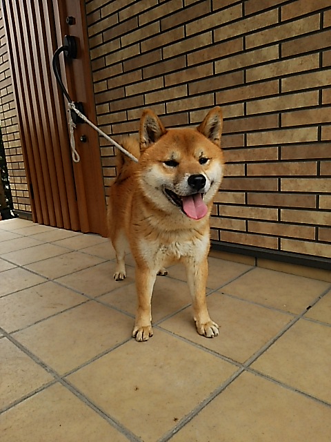DSC_0615.JPG
