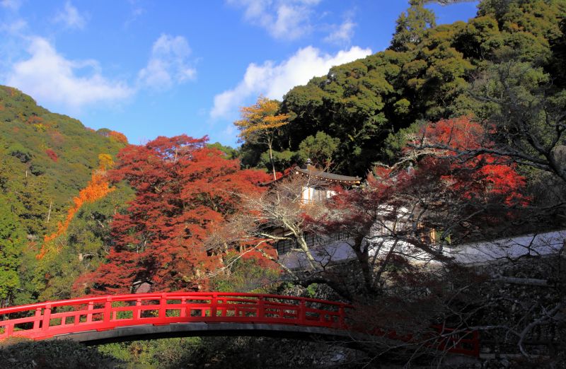 箕面滝道の残り紅葉_002瑞雲橋と鳳凰殿.jpg