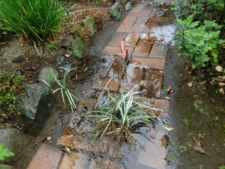 シルバードラゴン