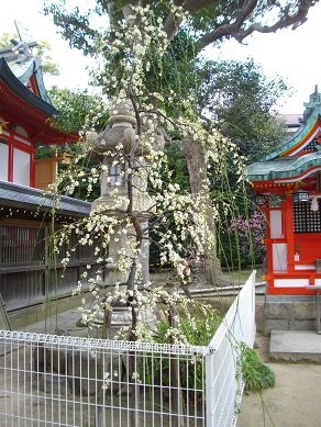 須磨　綱敷天満宮