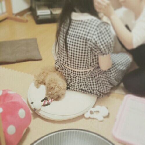 rblog-20150507081347-01.jpg