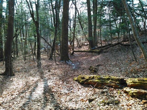 20150125蕃山3山陽だまりハイク.jpg