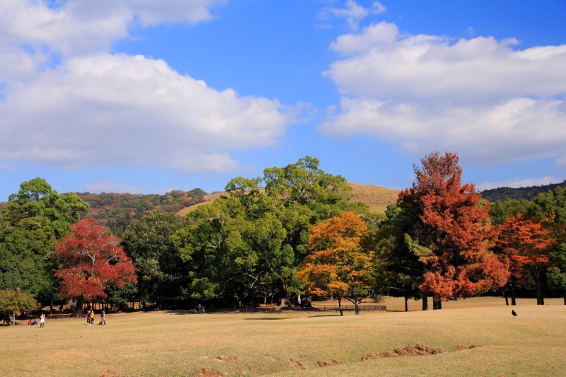 奈良公園・飛火野_005.jpg
