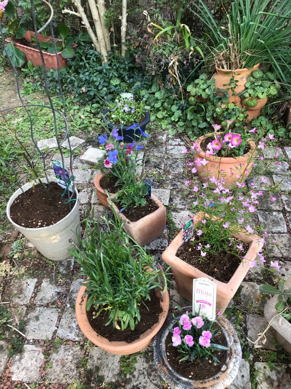rblog-20190324173828-02.jpg