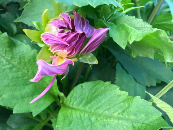 rblog-20180624181444-07.jpg