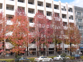 DSCF2437.JPG