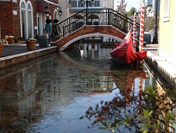 IMG_9764-29.jpg
