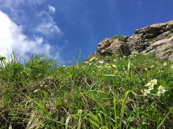 rblog-20170715052353-05.jpg