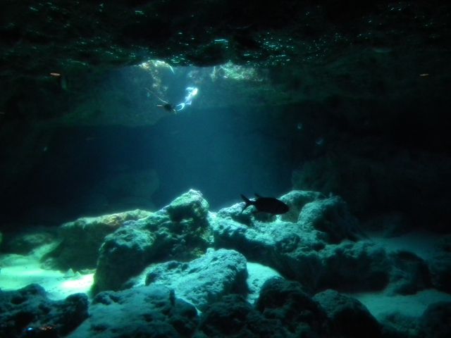 DSCF9168.JPG