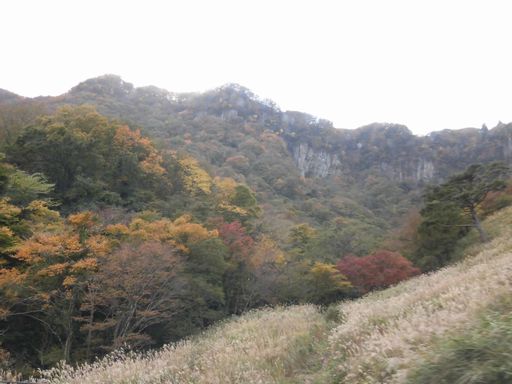 15.11.03紅葉８.JPG
