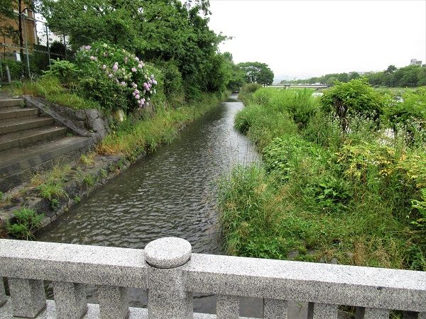 みそそぎ川源流探訪 悠遊自手記 Kyoto 楽天ブログ