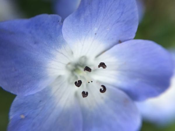 rblog-20170605235911-07.jpg